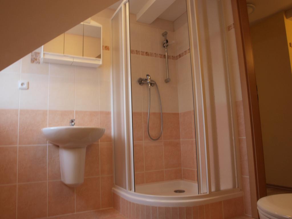 Apartments Viktoria Klinovec Kovářská Eksteriør bilde