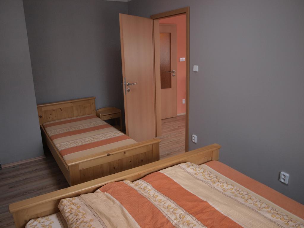 Apartments Viktoria Klinovec Kovářská Eksteriør bilde